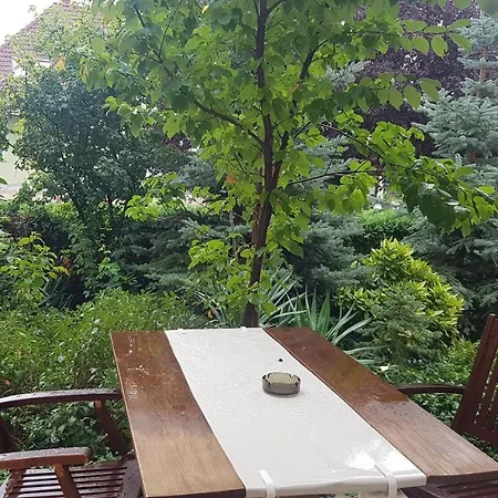 Szenczi Vendeghaz Apartment Buk Exterior photo